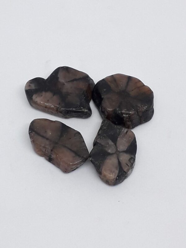 Chiastolite