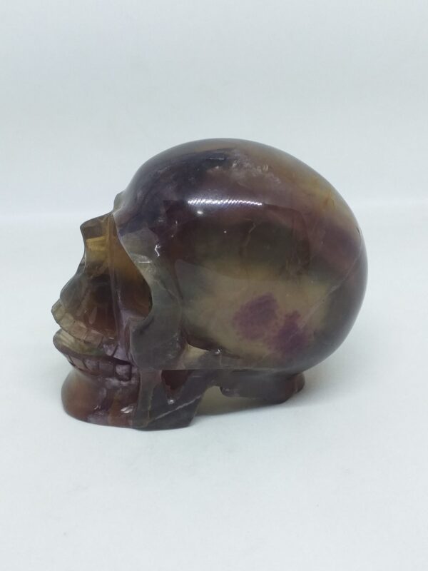 Fluorite Skull Large - Image 2