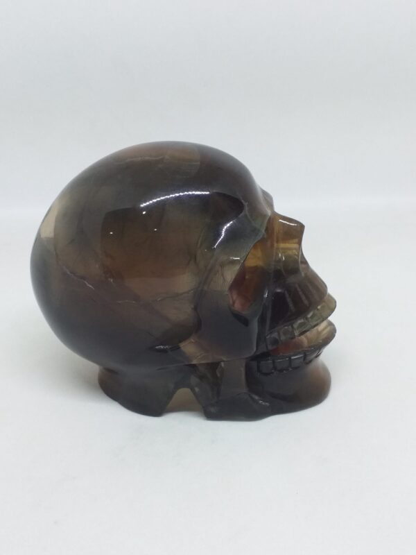 Fluorite Skull Large - Image 3