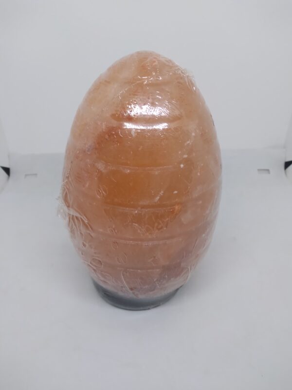Egg Cut Salt Lamp