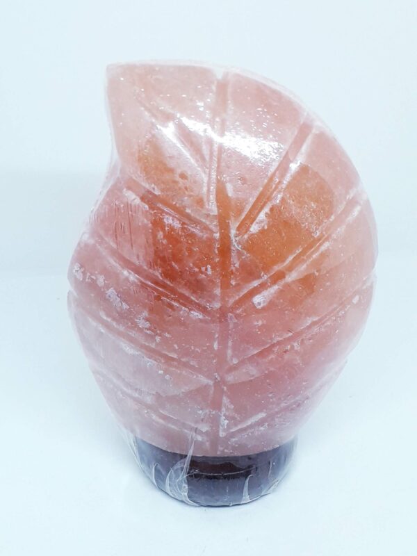 Leaf Shape Salt Lamp