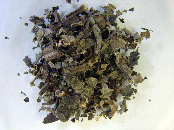 Patchouli