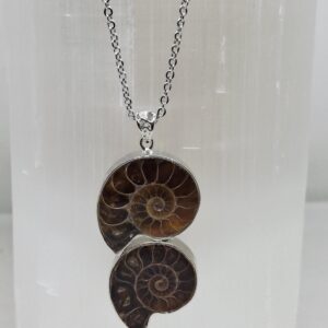 Ammonite Double Pendant